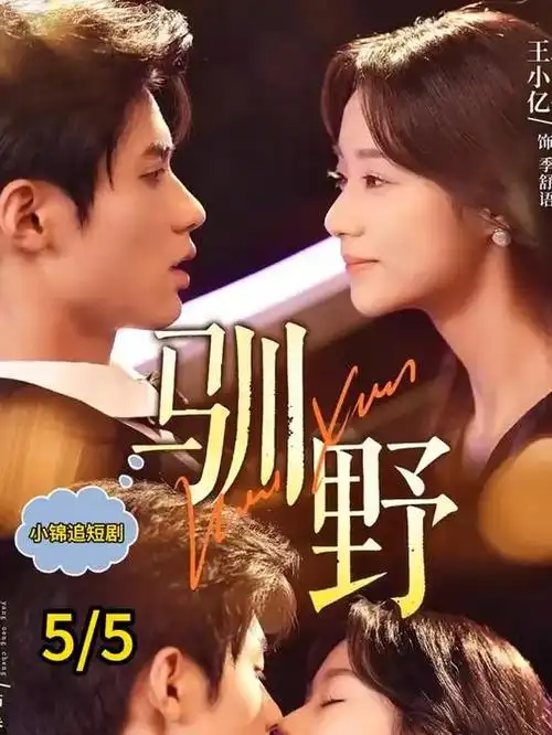 风起旧城 年代情感热播剧免费观看